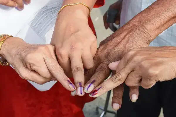 पश्चिम बंगाल की फलता सीट पर वोटों की गिनती शुरू