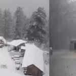 उत्तर भारत में पश्चिमी विक्षोभ से बारिश और बर्फबारी की संभावना