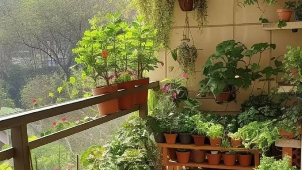 क्या आप जानते हैं कि भारत में सबसे ज्यादा कमाई करने वाले पेशे कौन से हैं?