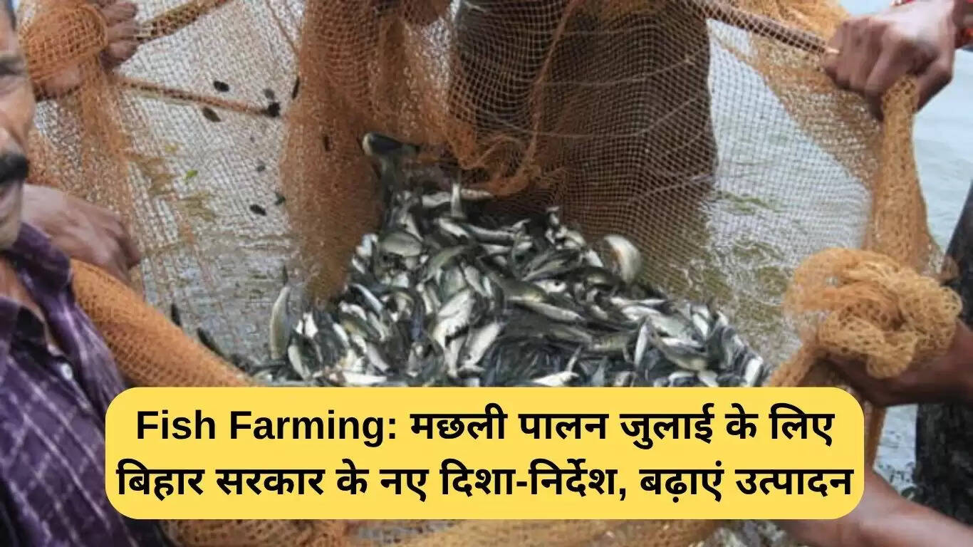 बिहार सरकार के नए दिशा-निर्देश: मछली पालन में वृद्धि के लिए महत्वपूर्ण सुझाव