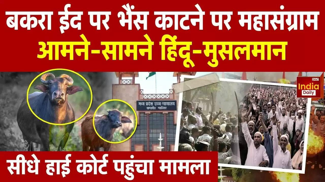 मध्य प्रदेश में बकरीद पर भैंस के बछड़े की कुर्बानी को लेकर विवाद: जानें पूरा मामला