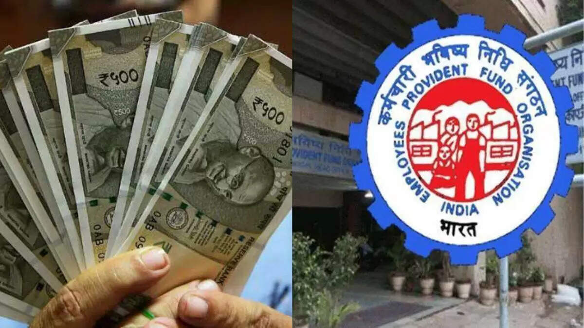 क्या आपकी कंपनी आपके पीएफ खाते में पैसे जमा कर रही है? जानें क्या करें