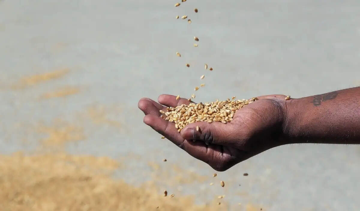 पाकिस्तान में आटा मिल उद्योग संकट में, सरकार से सुधार की मांग