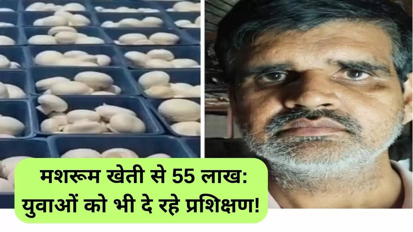 मशरूम खेती से 55 लाख की कमाई: युवाओं को मिल रहा प्रशिक्षण
