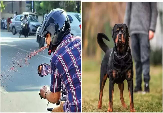 वाराणसी में स्वच्छता नियमों का कड़ा प्रवर्तन, जुर्माने की नई दरें लागू