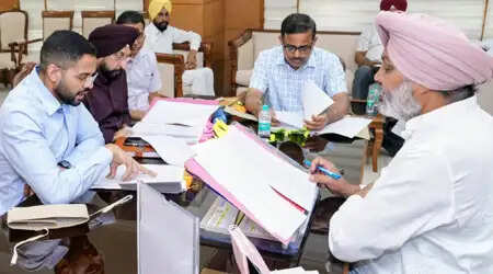 पंजाब में जहरीले रसायनों की खुदरा बिक्री पर रोक लगाने की मांग