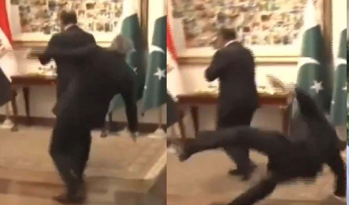 पाकिस्तान के उप प्रधानमंत्री इशाक डार का रेड कार्पेट पर गिरना, स्वास्थ्य में सुधार