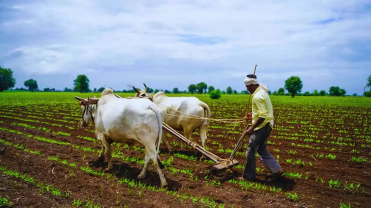 क्या केंद्रीय बजट 2026-27 कृषि क्षेत्र को नई ऊंचाइयों पर ले जाएगा?