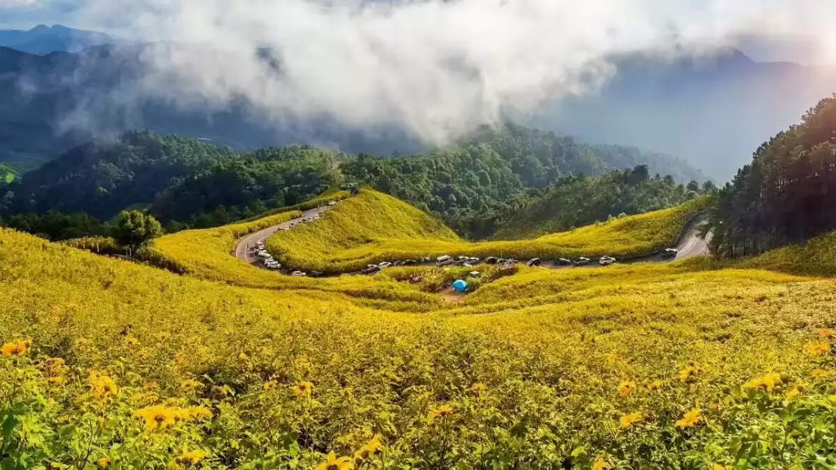 रानीखेत के आसपास के बेहतरीन हिल स्टेशनों की खोज