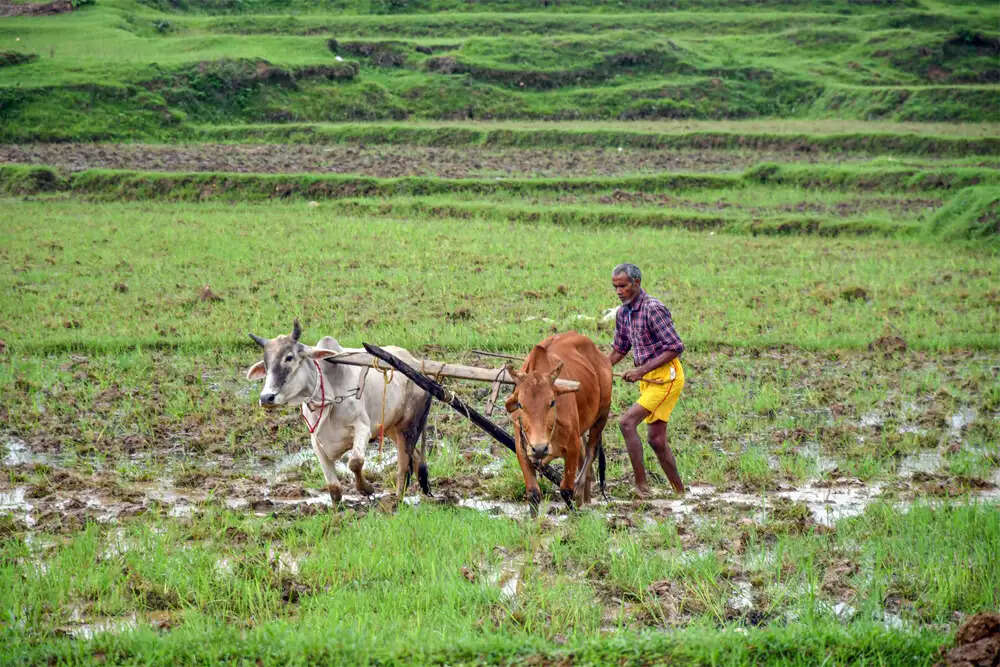 मानसून की देरी: देश के कई हिस्सों में बारिश का इंतजार