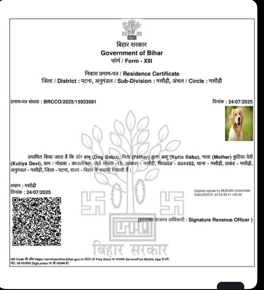 बिहार में कुत्ते को आवासीय प्रमाण पत्र जारी, अधिकारियों में हड़कंप