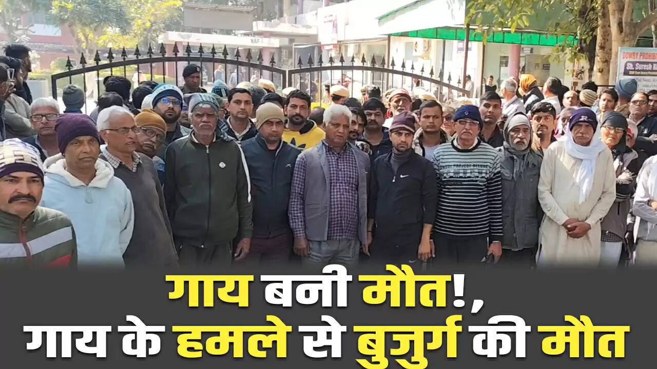 बेसहारा गाय के हमले से बुजुर्ग महिला की मौत, प्रशासन के खिलाफ प्रदर्शन