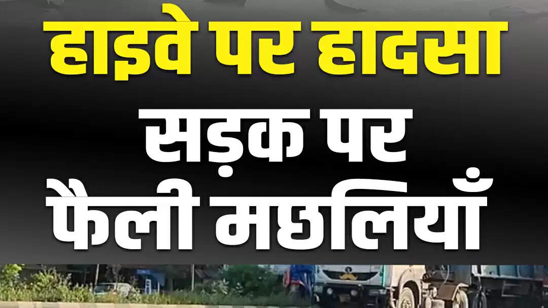 दिल्ली-जयपुर हाइवे पर पिकअप दुर्घटना, मछलियाँ सड़क पर बिखरीं