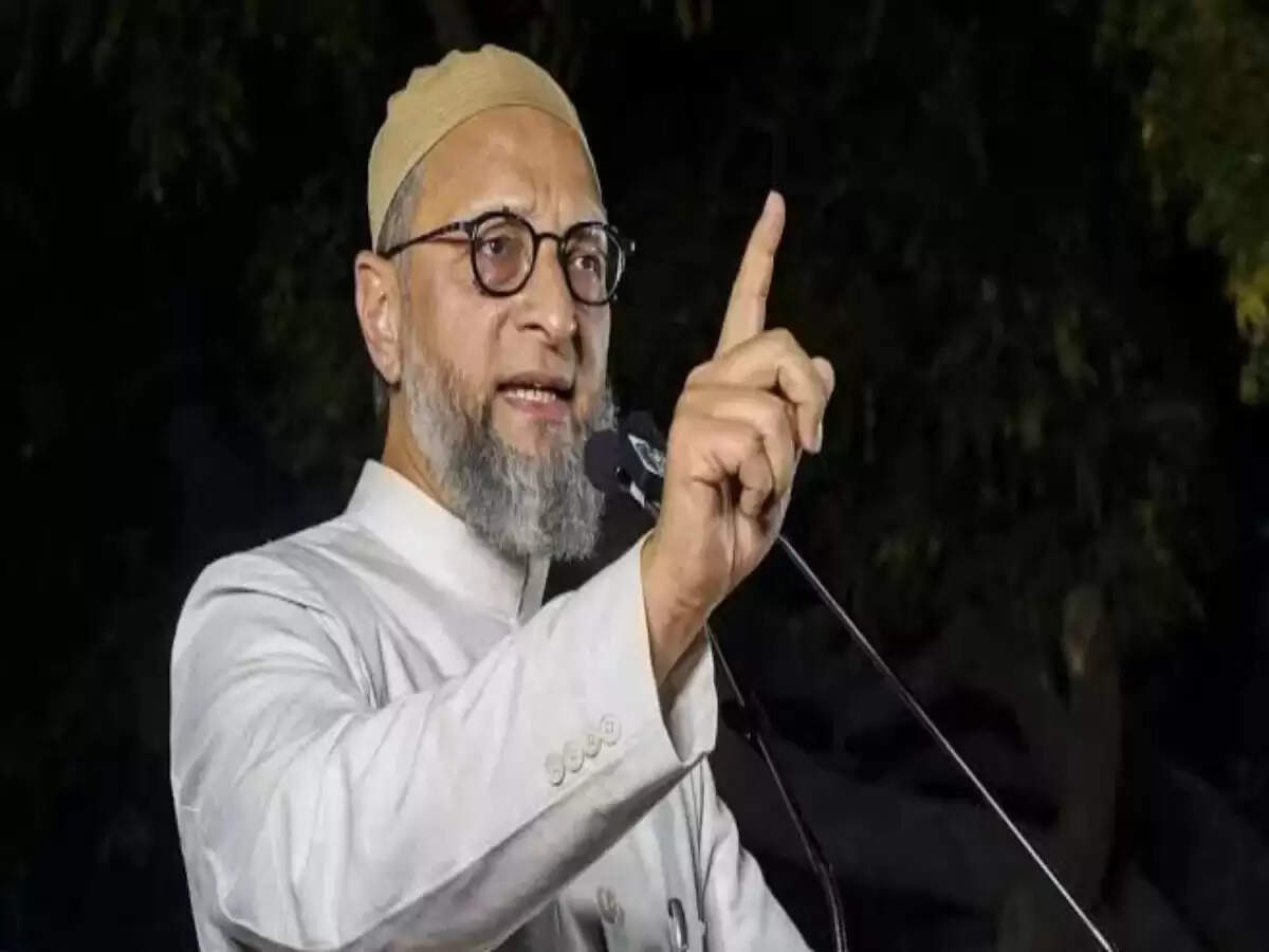 ओवैसी ने नीतीश कुमार की SIR योजना पर उठाए सवाल, नागरिकता को लेकर जताई चिंता