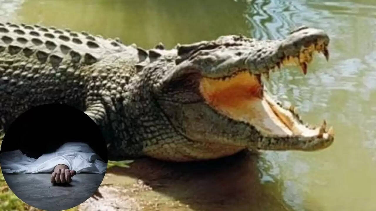 बहराइच में मगरमच्छ के हमले से किशोर की मौत: ग्रामीणों में दहशत
