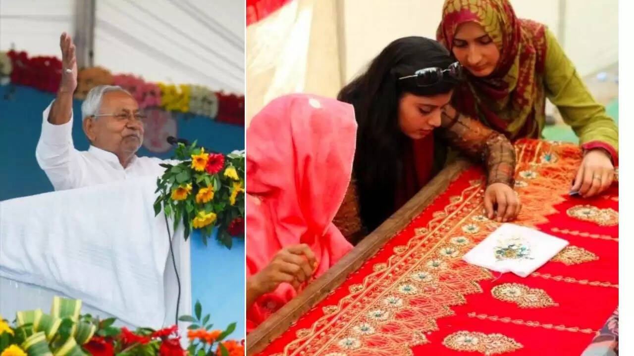बिहार में मुख्यमंत्री महिला रोजगार योजना का नया अपडेट