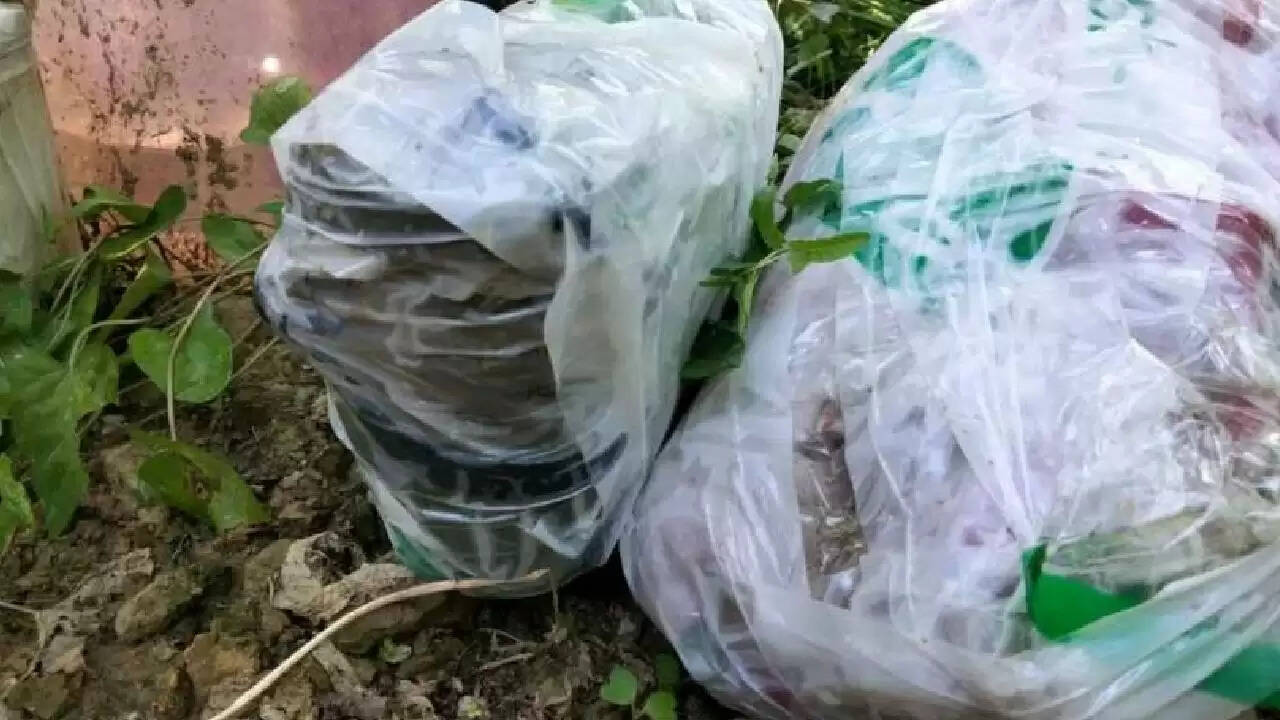 दिवाली पर कश्मीर में आतंकियों की साजिश नाकाम, IED किया गया नष्ट