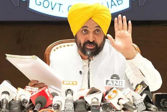 पंजाब सरकार ने बाढ़ पीड़ितों को 45 दिनों में मुआवजा देने का आश्वासन दिया