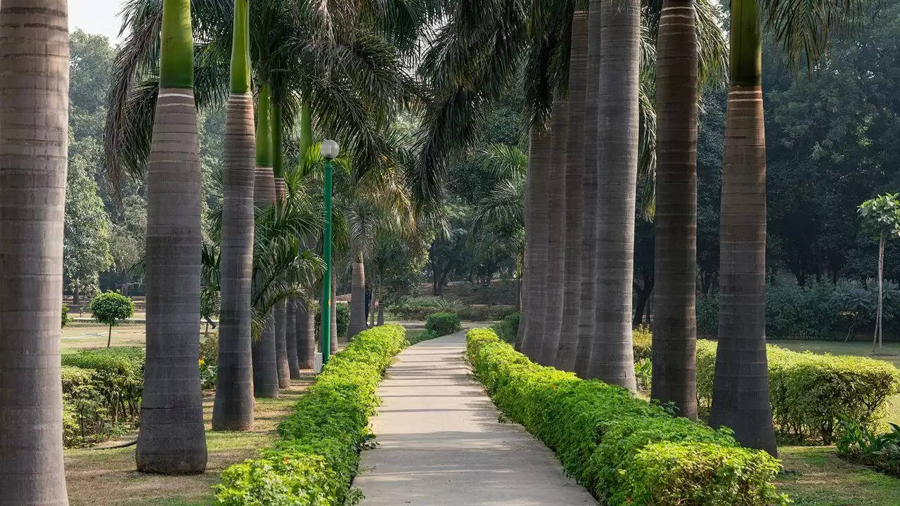दिल्ली में नेहरू पार्क को बनाया जाएगा पहला क्लीन एयर जोन