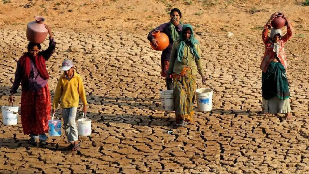क्या अल नीनो से भारत में सूखा पड़ेगा? जानें मौसम विज्ञान संगठन की चेतावनी