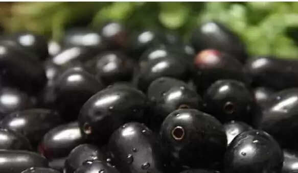 गर्मियों में जामुन के स्वास्थ्य लाभ: जानें कैसे करें इसका सेवन