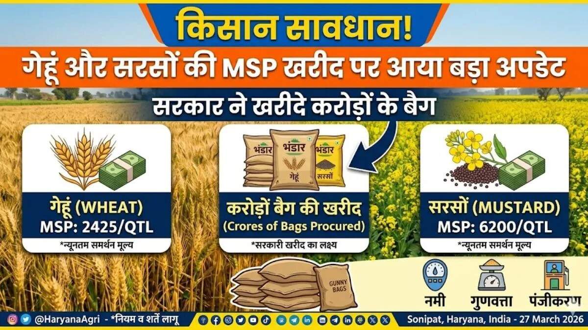 हरियाणा में अनाज खरीद की तैयारी, जूट बैग के लिए 470 करोड़ का बजट
