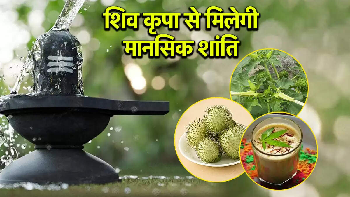 सावन 2025 में शिव पूजा के लिए धतूरा और भांग का महत्व