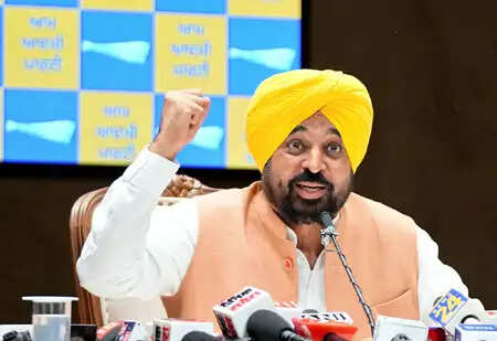 पंजाब के मुख्यमंत्री ने भाजपा पर लगाया साजिश का आरोप