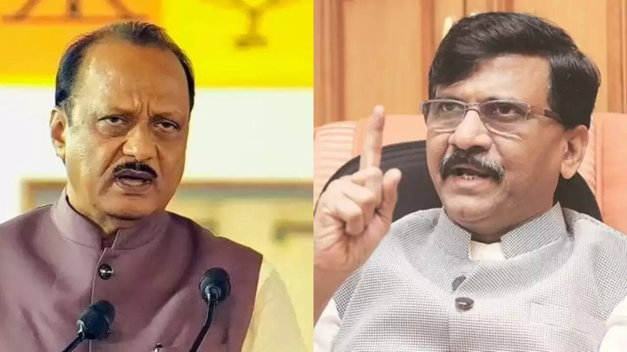 डिप्टी सीएम अजित पवार पर महिला आईपीएस अधिकारी पर दबाव डालने का आरोप