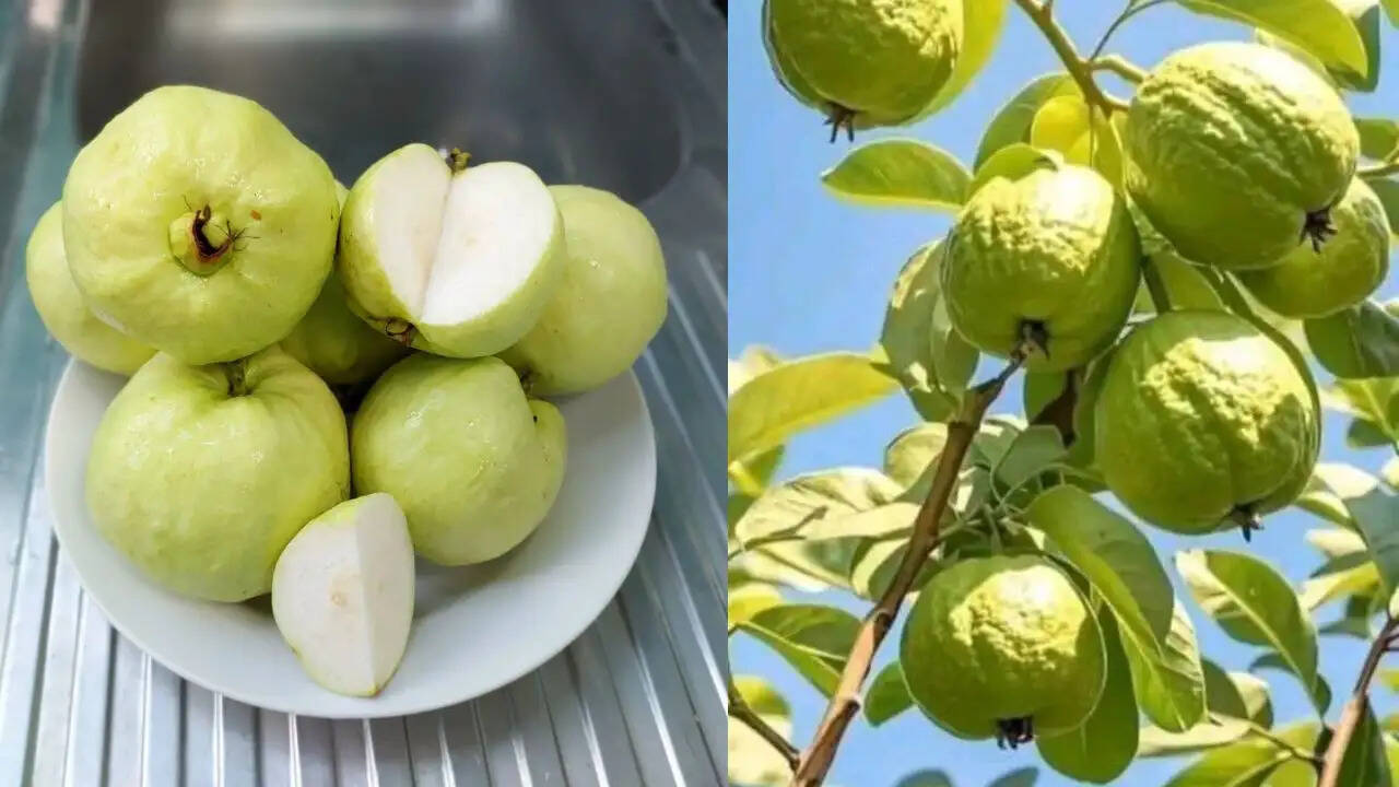 अमरूद को सही तरीके से साफ करने के उपाय