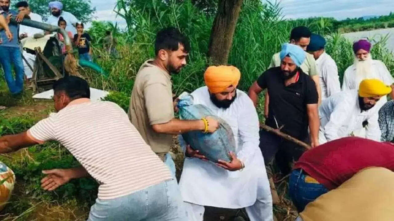 पंजाब में बाढ़ राहत: हरजोत बैंस ने की सुविधाओं की बहाली की घोषणा