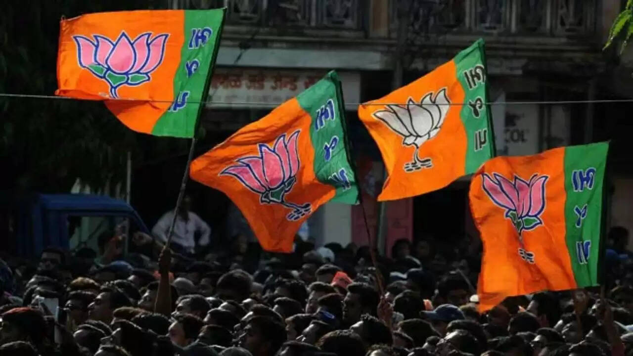 बीजेपी का आत्मनिर्भर भारत संकल्प अभियान: स्वदेशी उत्पादों को बढ़ावा देने की पहल