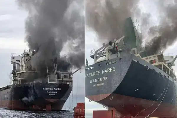 भारत ने होर्मुज जलडमरूमध्य में जहाजों पर हमलों की निंदा की