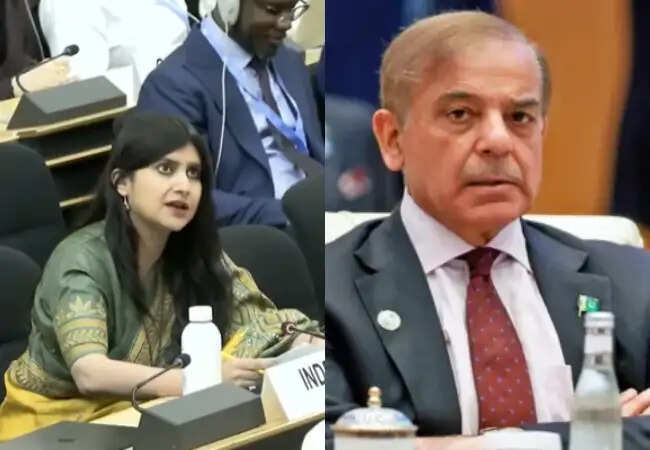 भारत ने पाकिस्तान को यूएन में दी चेतावनी, PoK खाली करने की मांग