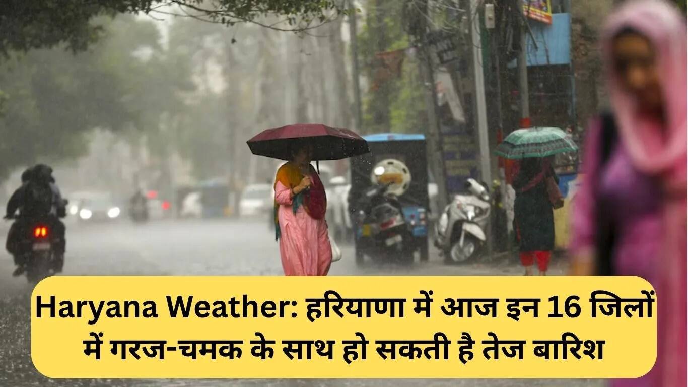 हरियाणा में बारिश का अलर्ट: 16 जिलों में हो सकती है भारी बारिश