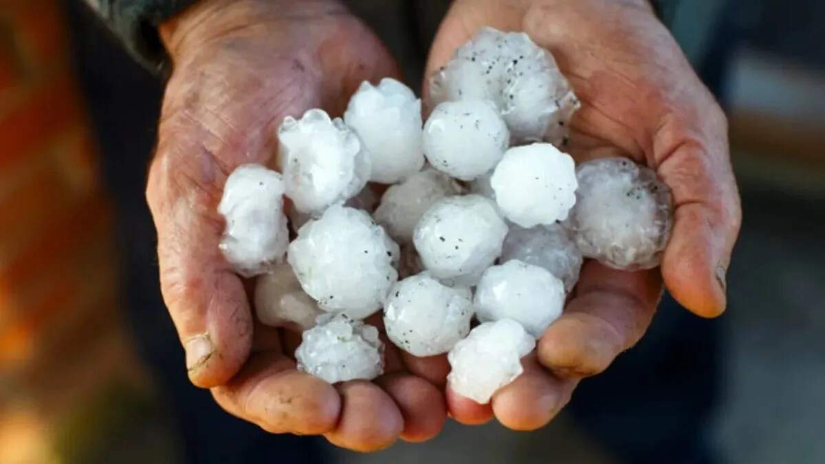 हरियाणा में मौसम परिवर्तन: किसानों के लिए नई चुनौतियाँ