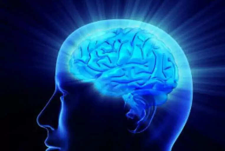 याददाश्त बढ़ाने के लिए फायदेमंद खाद्य पदार्थ