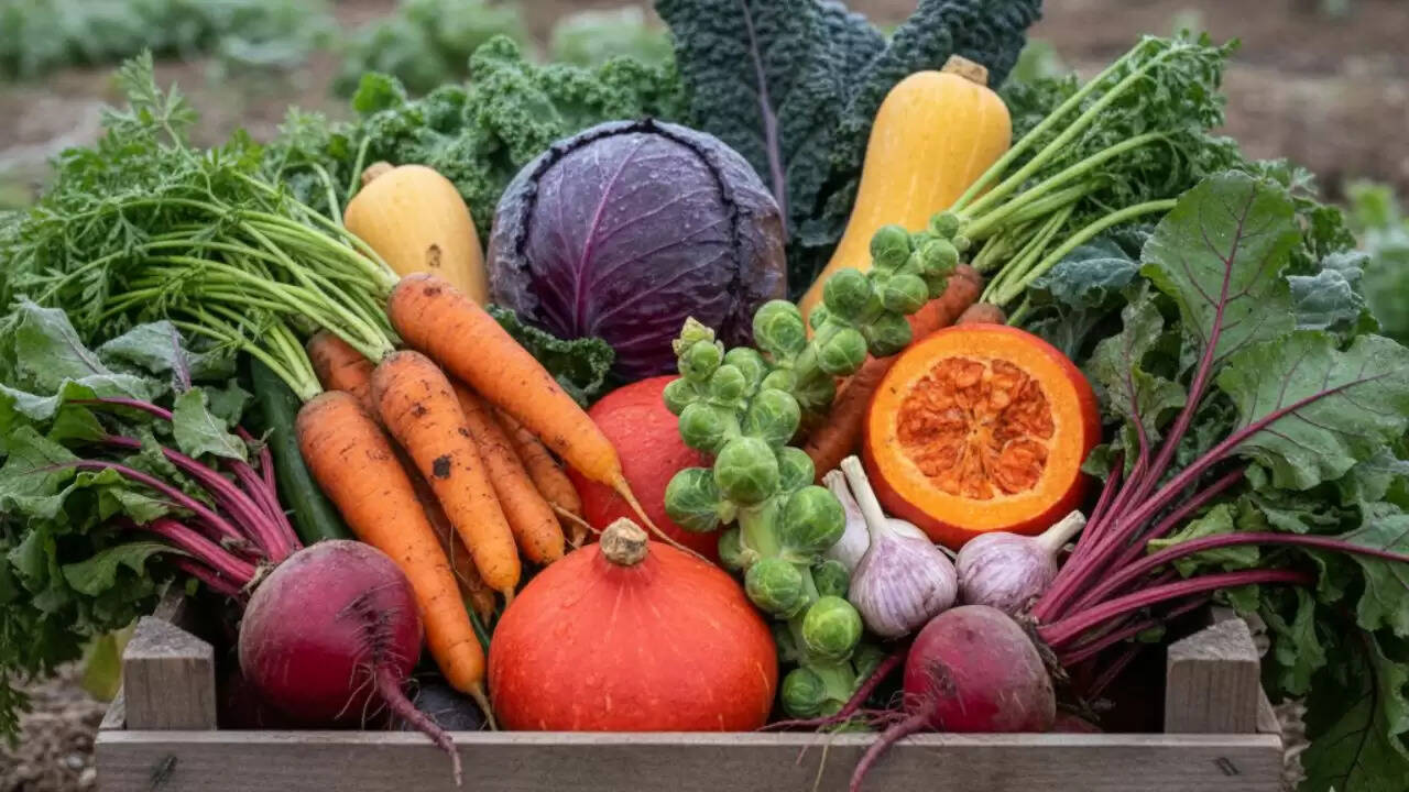 सर्दियों में सेहतमंद सब्जियों का सेवन: पोषण और ऊर्जा का स्रोत