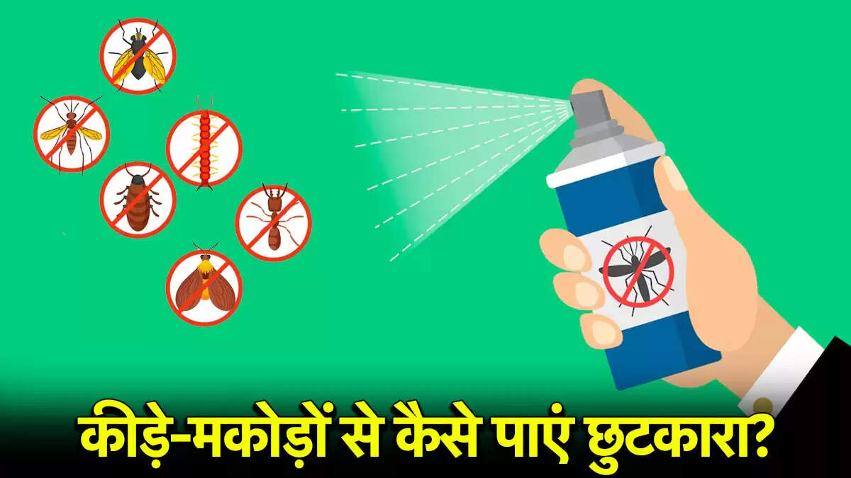 बारिश के मौसम में कीड़ों से छुटकारा पाने के घरेलू उपाय