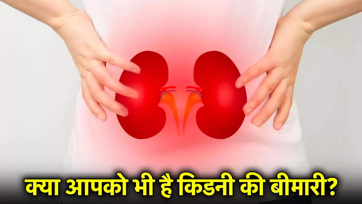 किडनी की सेहत की जांच का आसान तरीका: जानें कैसे करें