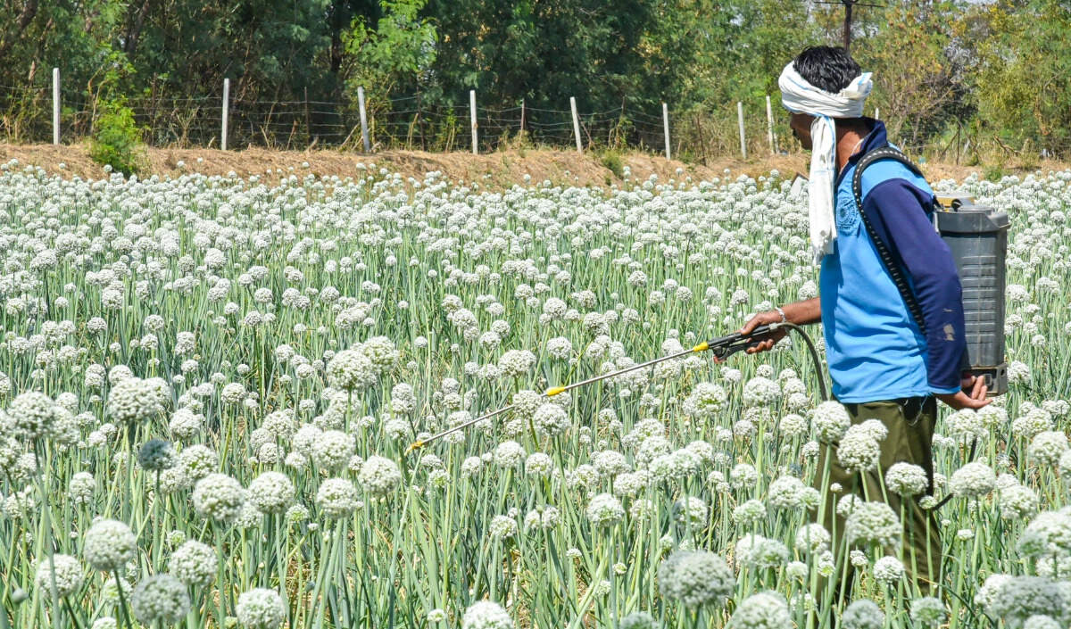 हिमाचल प्रदेश में प्राकृतिक खेती का बढ़ता चलन