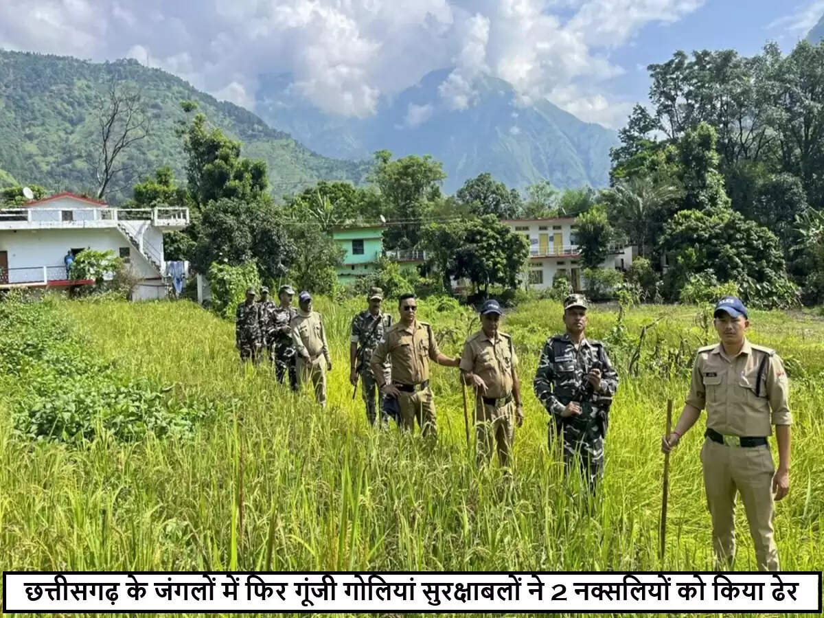 छत्तीसगढ़ में सुरक्षाबलों और नक्सलियों के बीच मुठभेड़, दो नक्सली ढेर