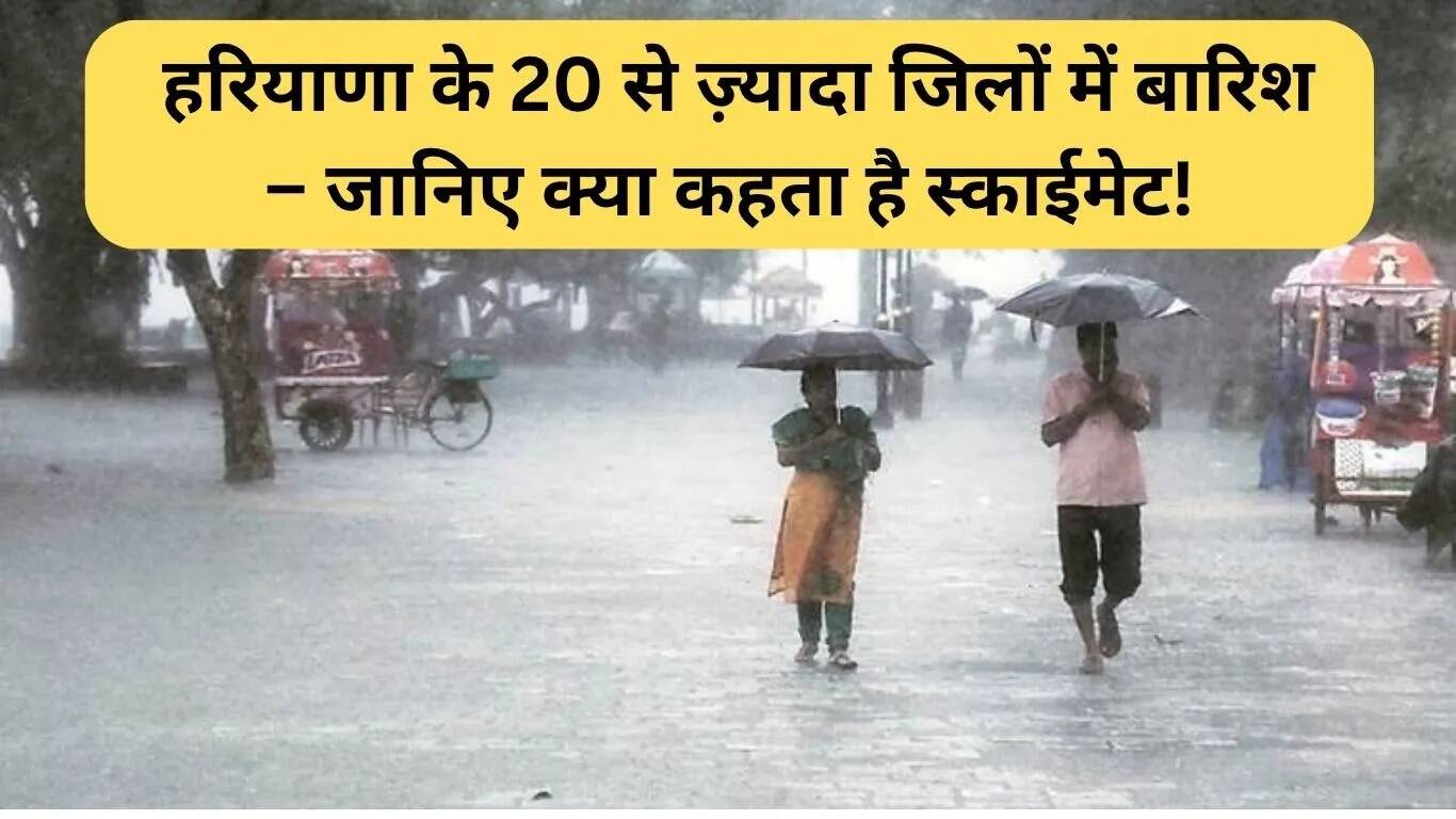 हरियाणा में मानसून की वापसी: 20 से अधिक जिलों में बारिश का अलर्ट