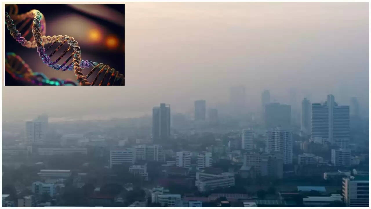 दिल्ली NCR में प्रदूषण का डीएनए पर प्रभाव: एक गंभीर चेतावनी