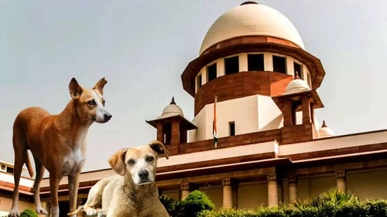 सुप्रीम कोर्ट का आवारा कुत्तों पर महत्वपूर्ण फैसला: दिल्ली और एनसीआर में सुरक्षा और कल्याण का मुद्दा