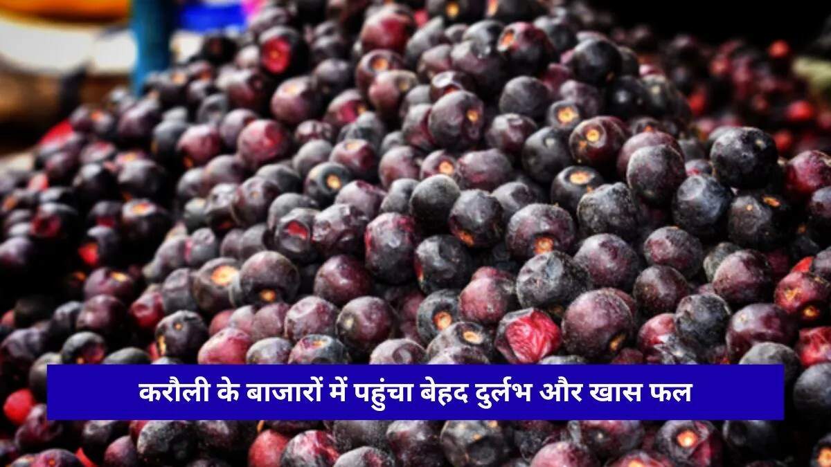 फालसा फल: गर्मियों में सेहत का अनमोल साथी