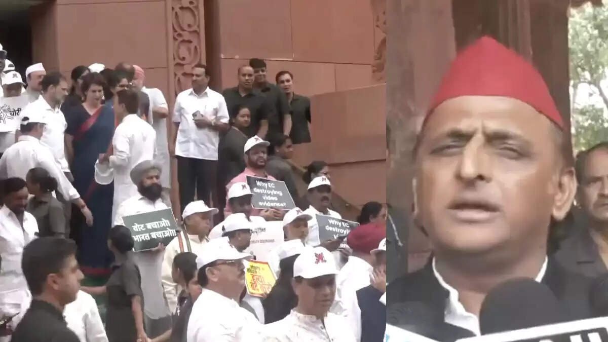 वोट चोरी के खिलाफ विपक्ष का प्रदर्शन, अखिलेश यादव ने राहुल गांधी का समर्थन किया