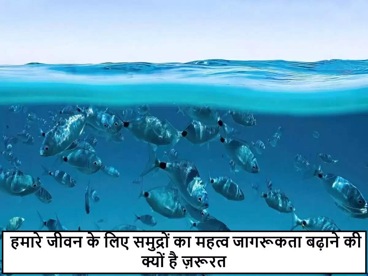 समुद्रों का महत्व: पृथ्वी के स्वास्थ्य के लिए आवश्यक