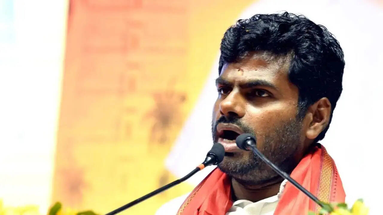 क्या के. अन्नामलाई ने चुनावी मैदान से खुद को किया बाहर? जानें पूरी कहानी