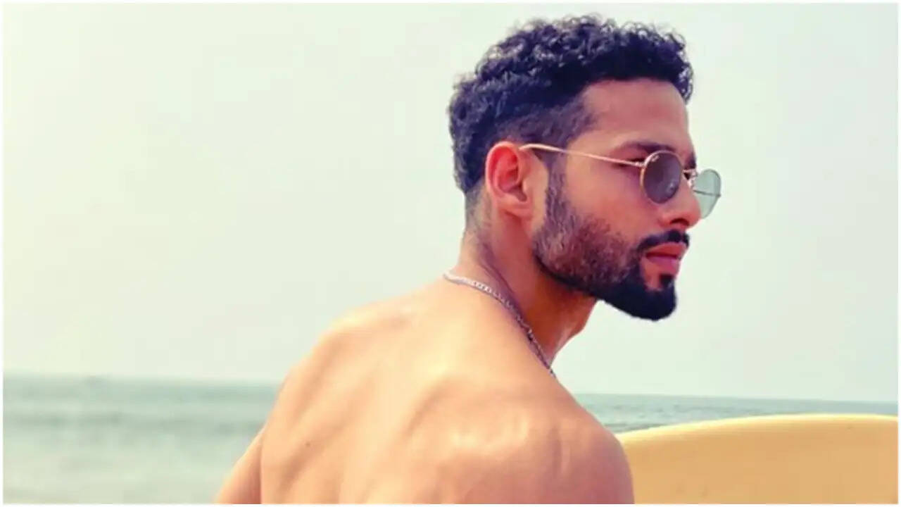 सिद्धांत चतुर्वेदी: संघर्ष से सफलता की ओर